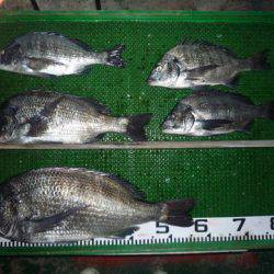 海山フィッシングセンター 釣果