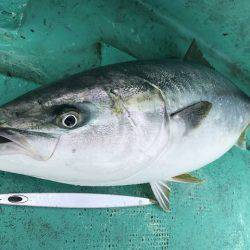 広進丸 釣果