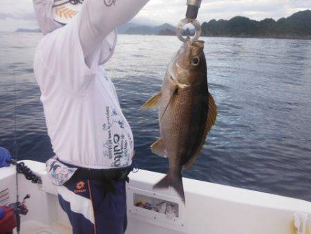 開進丸 釣果