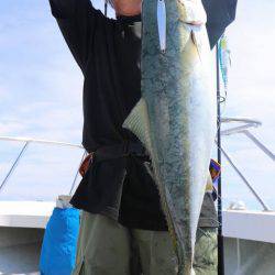 スカイマリン 釣果