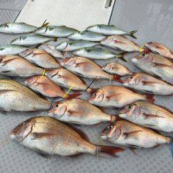ミタチ丸 釣果