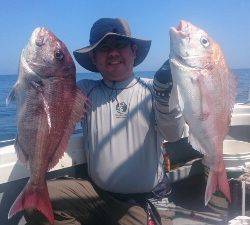 IDATEN（イダテン） 釣果