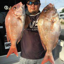 ミタチ丸 釣果
