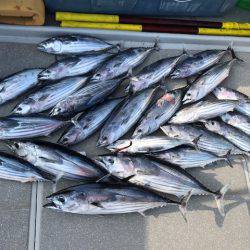 へいみつ丸 釣果