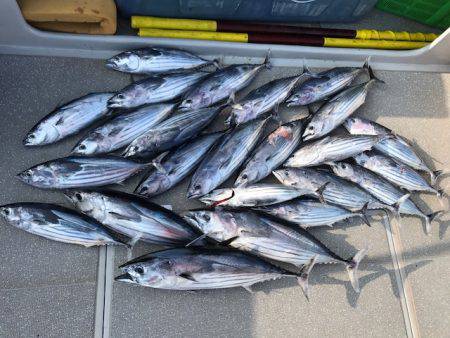 へいみつ丸 釣果