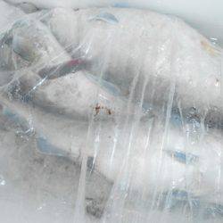 こうゆう丸 釣果