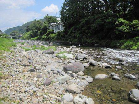狩野川(狩野川漁業協同組合) 釣果