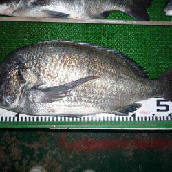 海山フィッシングセンター 釣果