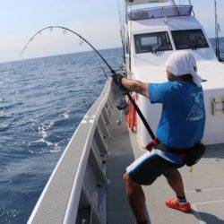 へいみつ丸 釣果