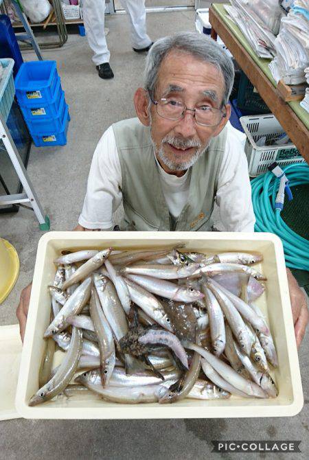 桑田観光 釣果
