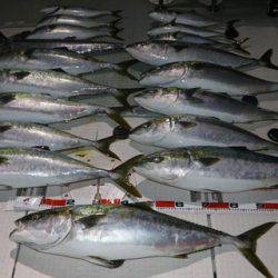 スカイマリン 釣果