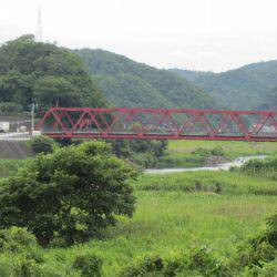 狩野川(狩野川漁業協同組合) 釣果