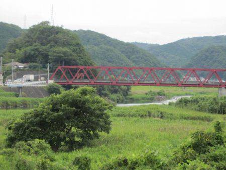 狩野川（狩野川漁業協同組合） 釣果