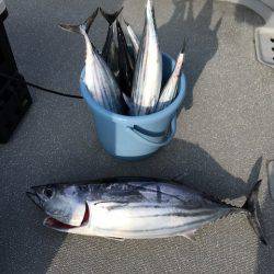 へいみつ丸 釣果