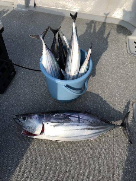 へいみつ丸 釣果