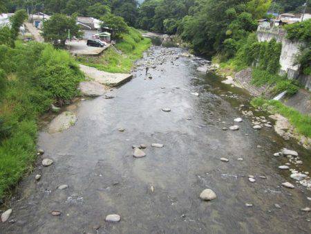 狩野川(狩野川漁業協同組合) 釣果
