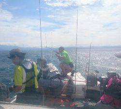 IDATEN(イダテン) 釣果