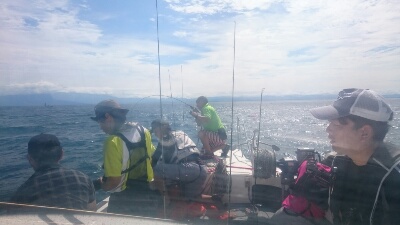 IDATEN(イダテン) 釣果