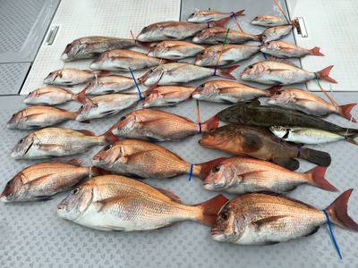 ミタチ丸 釣果