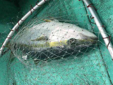 広進丸 釣果