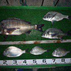 海山フィッシングセンター 釣果