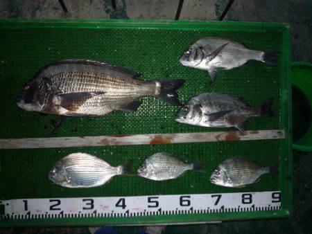 海山フィッシングセンター 釣果