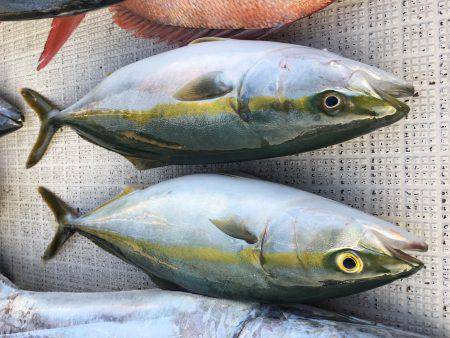 オーシャンズ 釣果