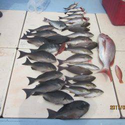 第十八吉栄丸 釣果