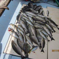 第十八吉栄丸 釣果