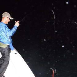 BlueNote Fishing Taxi 釣果