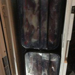 寿裕 （YOSHIHIRO） 釣果