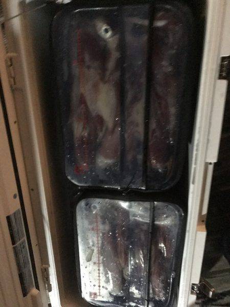 寿裕 （YOSHIHIRO） 釣果