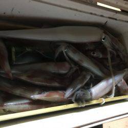 寿裕 （YOSHIHIRO） 釣果