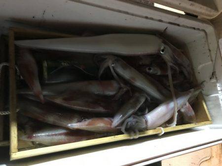 寿裕 （YOSHIHIRO） 釣果