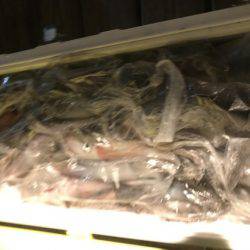 寿裕 （YOSHIHIRO） 釣果