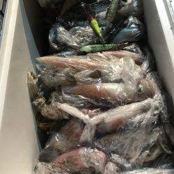 寿裕 （YOSHIHIRO） 釣果