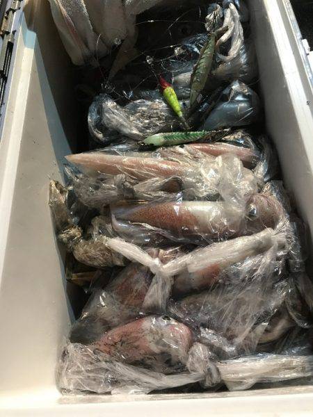 寿裕 （YOSHIHIRO） 釣果