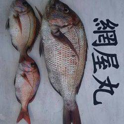 網屋丸 釣果