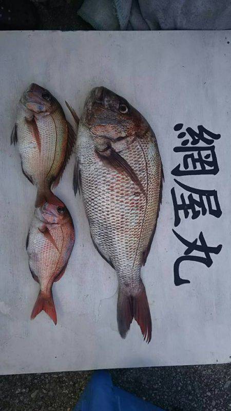 網屋丸 釣果