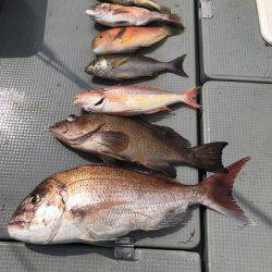 BlueOcean(ブルーオーシャン) 釣果