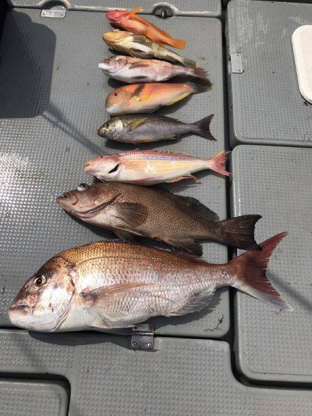 BlueOcean(ブルーオーシャン) 釣果