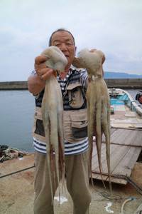 魚英 釣果