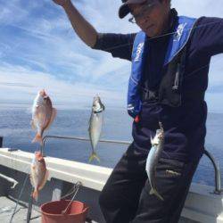 シーモンキー 釣果