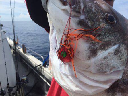 シーモンキー 釣果
