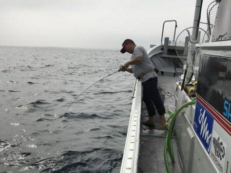 たいし丸 釣果