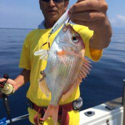 シーモンキー 釣果