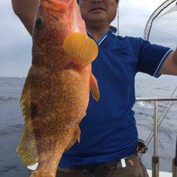 シーモンキー 釣果