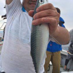 シーモンキー 釣果