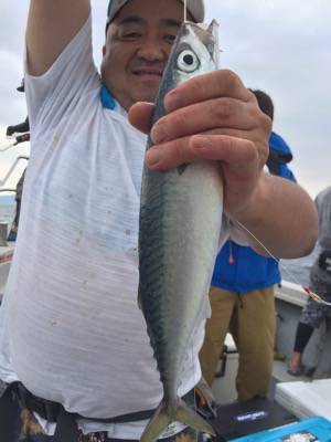 シーモンキー 釣果