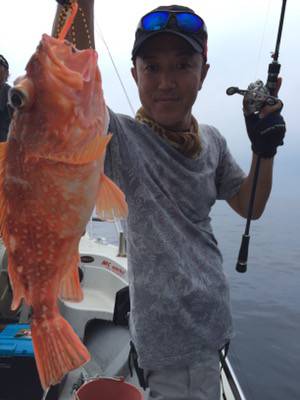 シーモンキー 釣果